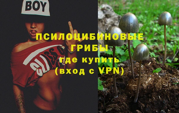 ешки Бугульма